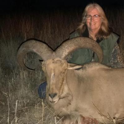 Profile picture for user Misty Sumner